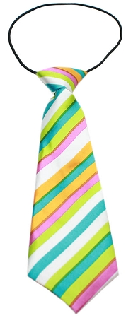 Big Dog Neck Tie Funky Stripes